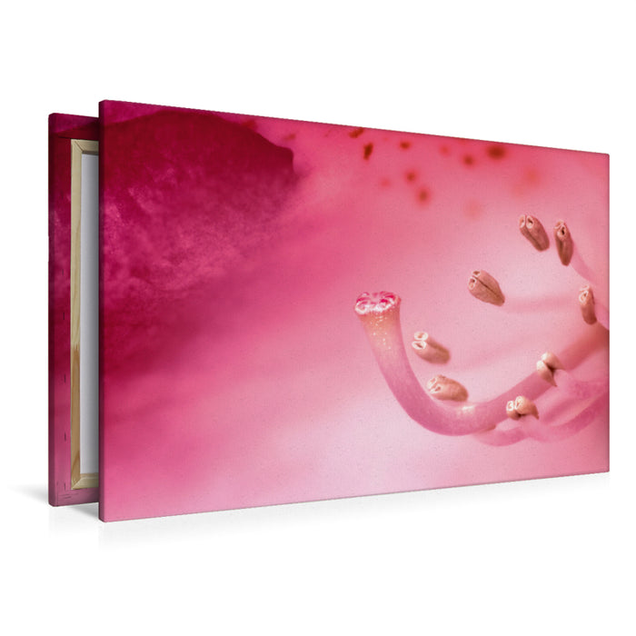 Premium Textil-Leinwand Pollen