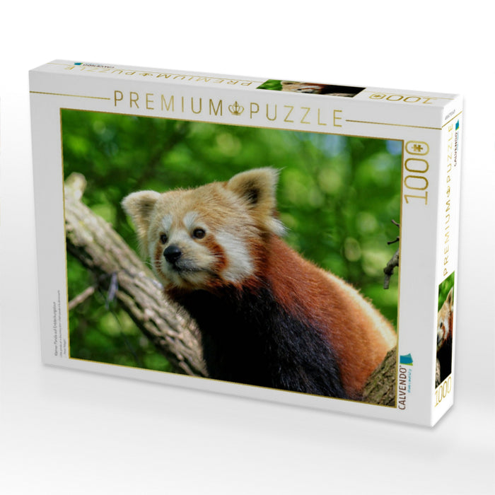 Kleiner Panda auf Entdeckungstour - CALVENDO Foto-Puzzle'