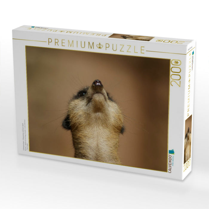 Erdmännchen – Zusammen sind wir stark - CALVENDO Foto-Puzzle'