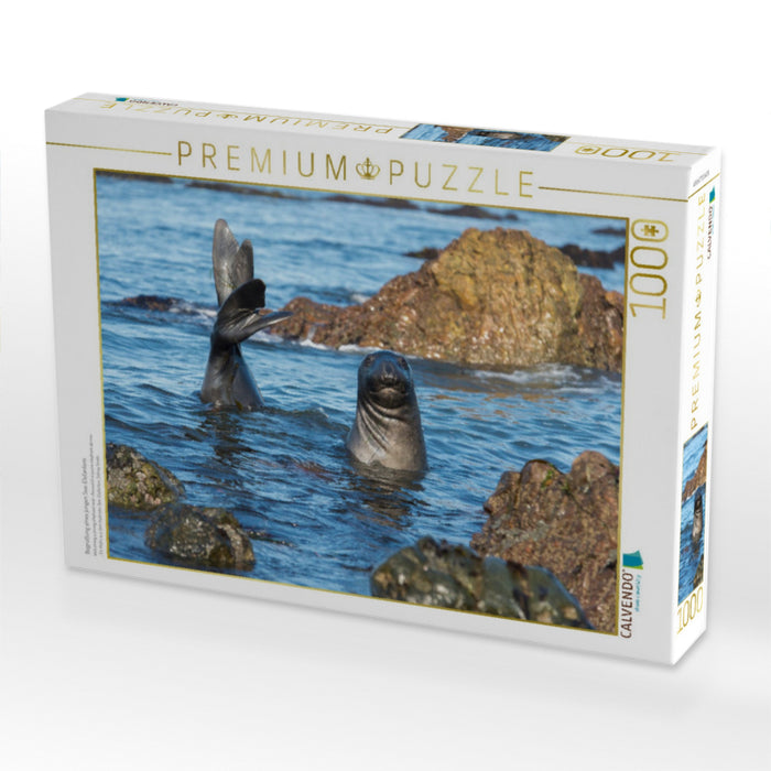 Begrüßung eines jungen See-Elefantens - CALVENDO Foto-Puzzle'