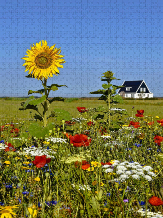 Ein Sommertag – Den Burg - CALVENDO Foto-Puzzle'