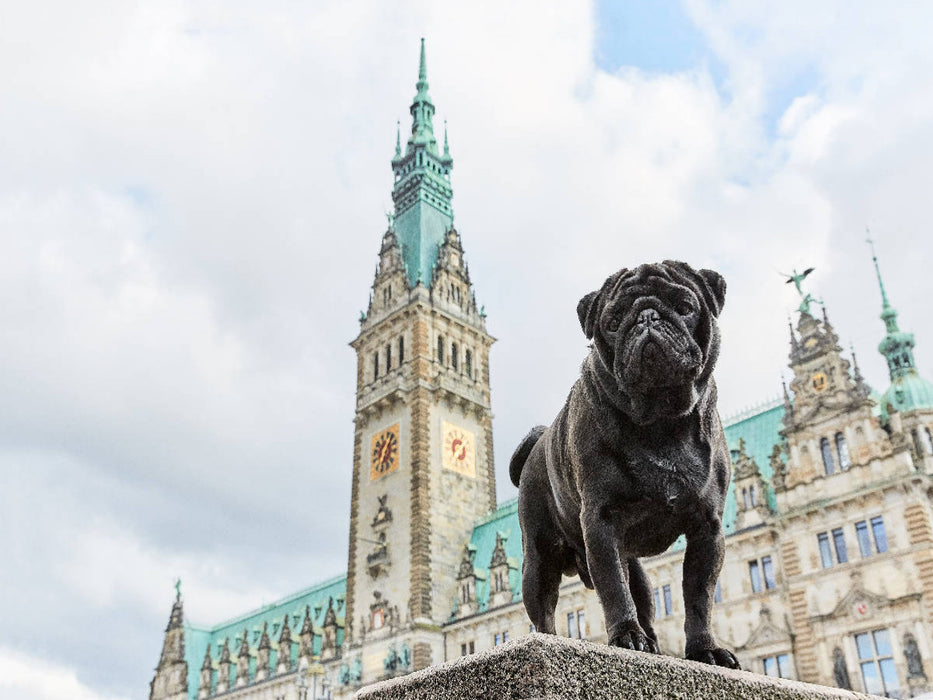 Ein Motiv aus dem Kalender Hamburg - Stadt der Möpse - CALVENDO Foto-Puzzle'