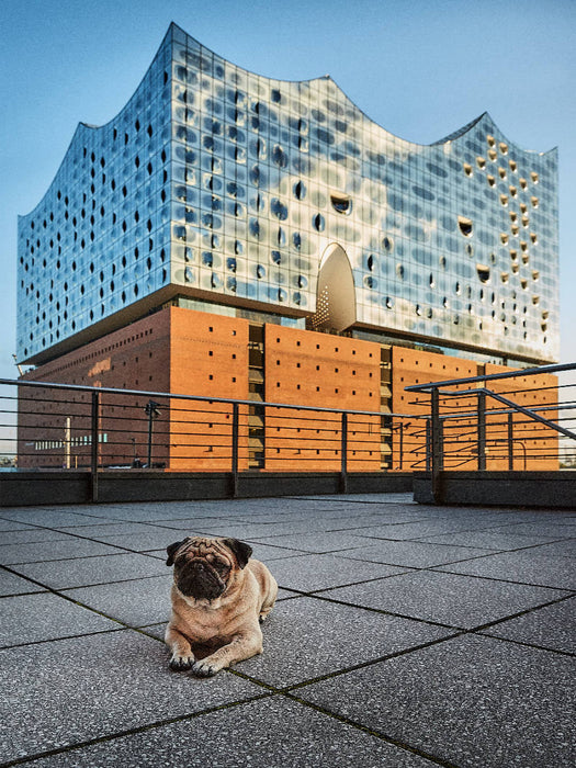 Elbphilharmonie - CALVENDO Foto-Puzzle'