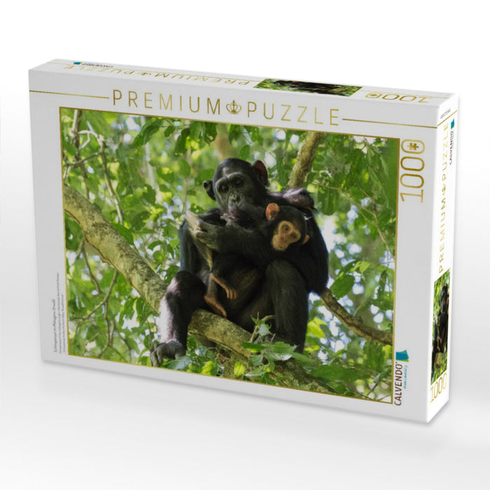 Schimpansen im Mahagoni-Urwald - CALVENDO Foto-Puzzle'