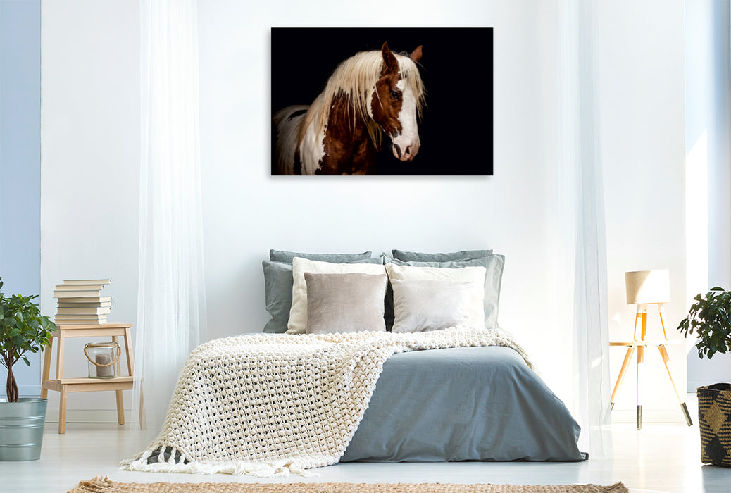 Premium Textil-Leinwand Premium Textil-Leinwand 120 cm x 80 cm quer Paint Horse Hengst