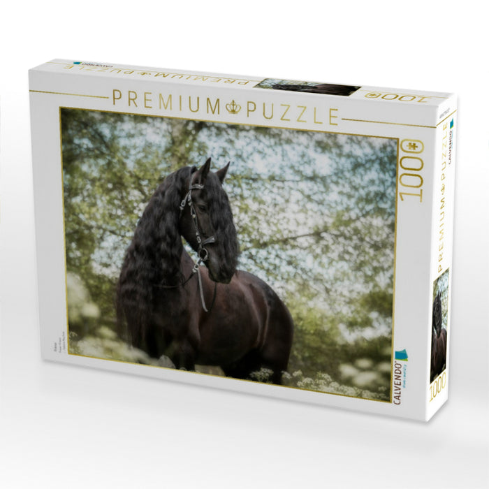 Friese - CALVENDO Foto-Puzzle'