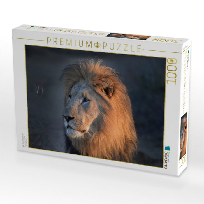 Der König der Löwen - CALVENDO Foto-Puzzle'