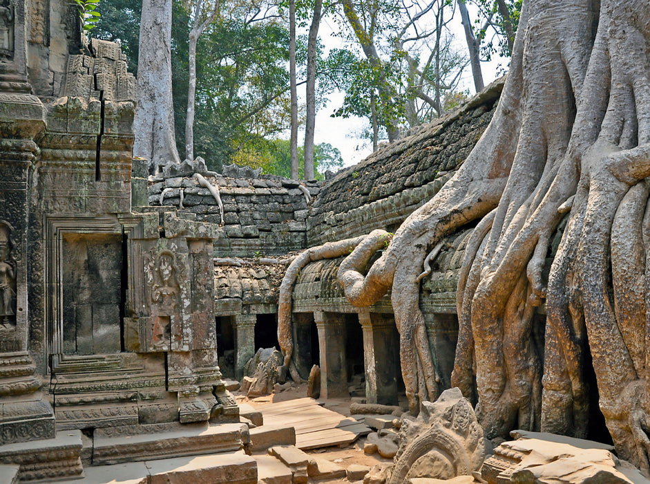 Ta Prohm Temple - CALVENDO photo puzzle 