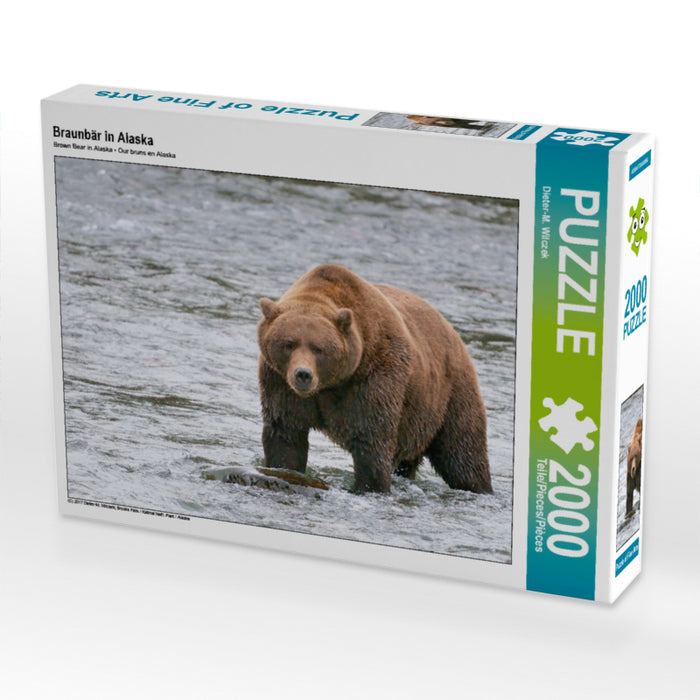 Brown bear in Alaska - CALVENDO photo puzzle 
