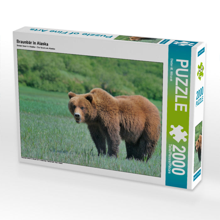 Brown bear in Alaska - CALVENDO photo puzzle 