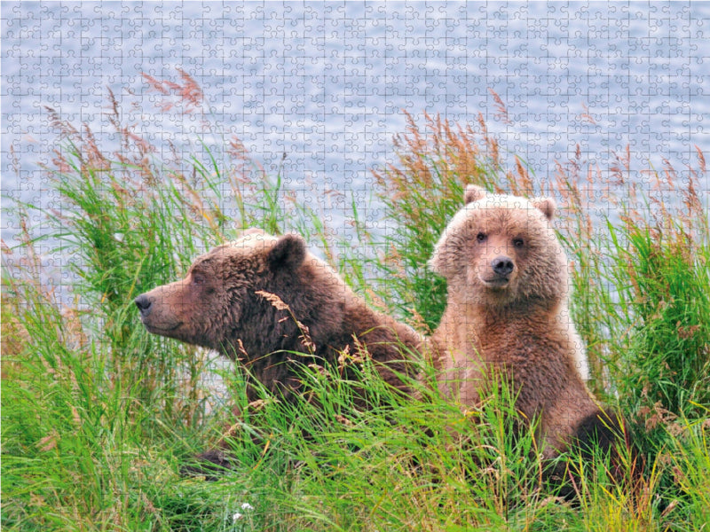 Brown bear mother with cub - CALVENDO photo puzzle 