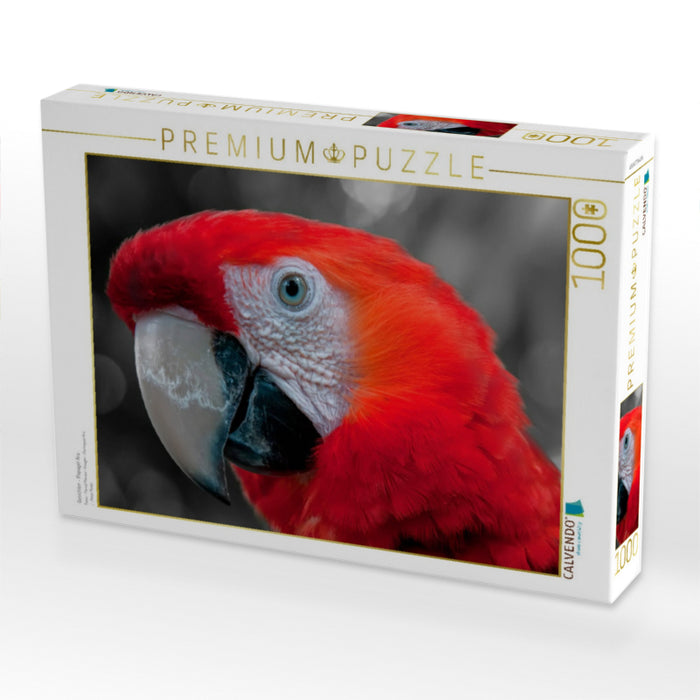 Gesichter - Papagei Ara - CALVENDO Foto-Puzzle'