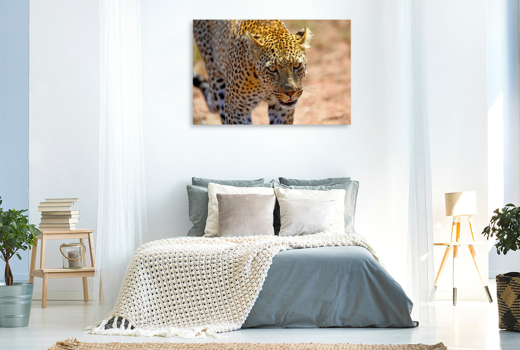 Premium Textil-Leinwand Premium Textil-Leinwand 120 cm x 80 cm quer Leopard in der Serengeti