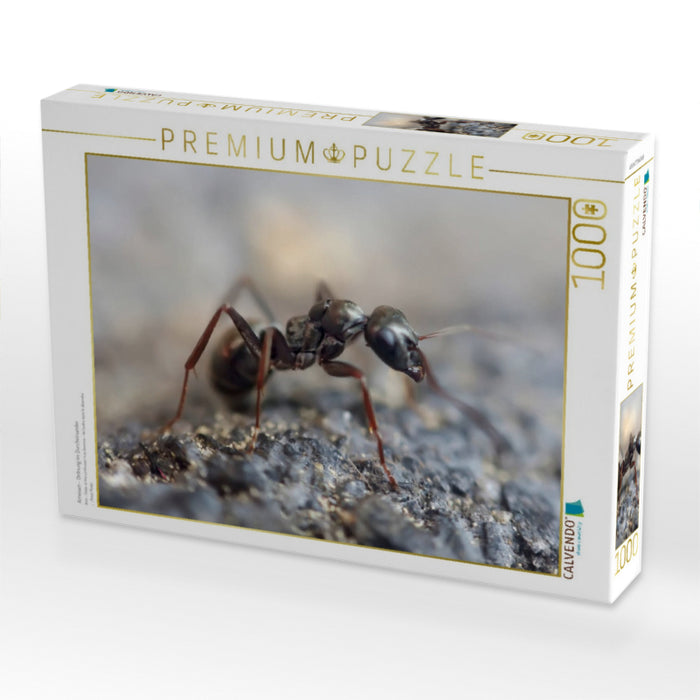 Ameisen - Ordnung im Durcheinander - CALVENDO Foto-Puzzle'