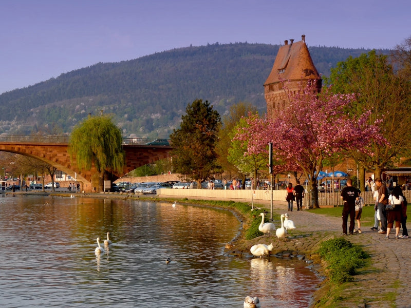 Miltenberg, Uferpromenade im Abendlicht 1000 Teile Puzzle quer - CALVENDO Foto-Puzzle'