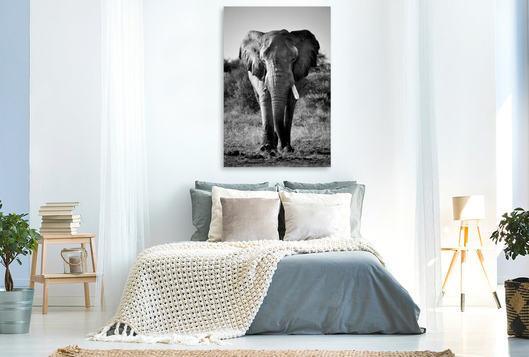 Premium Textil-Leinwand Premium Textil-Leinwand 80 cm x 120 cm  hoch Elefantenbulle im Etosha Park