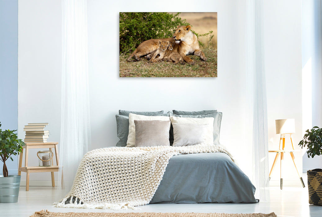 Toile textile premium Toile textile premium 120 cm x 80 cm paysage Lions, Masai Mara, Kenya 