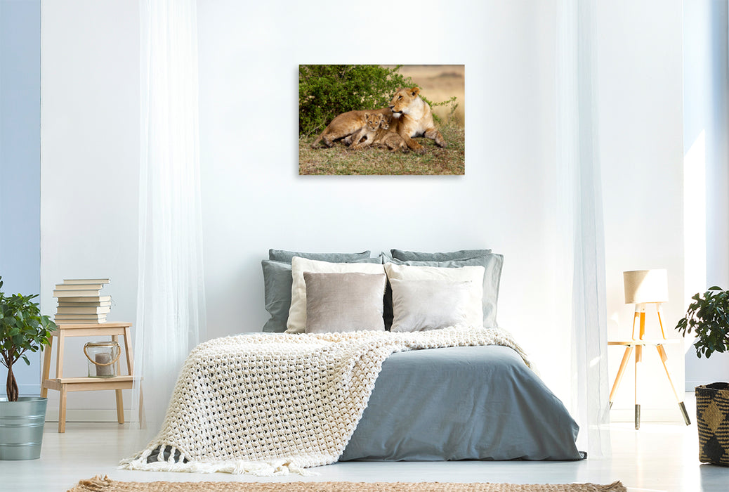 Toile textile premium Toile textile premium 120 cm x 80 cm paysage Lions, Masai Mara, Kenya 