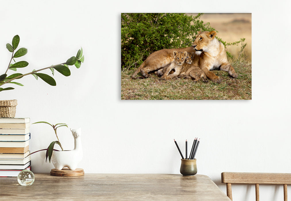 Toile textile premium Toile textile premium 120 cm x 80 cm paysage Lions, Masai Mara, Kenya 