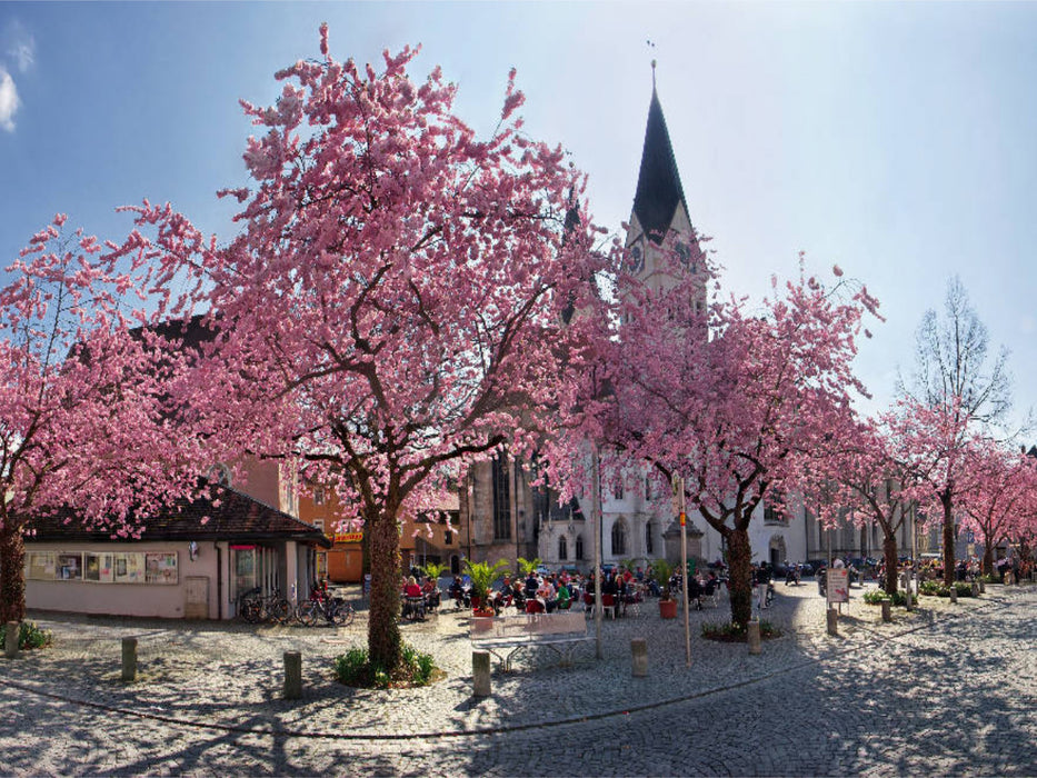 Kirschbaumblüte auf dem Domplatz von Eichstätt - CALVENDO Foto-Puzzle'