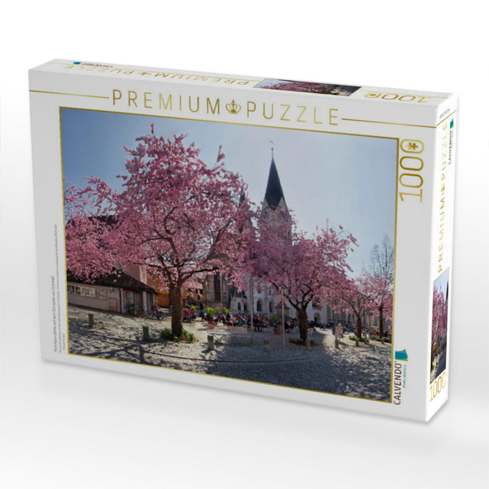 Kirschbaumblüte auf dem Domplatz von Eichstätt - CALVENDO Foto-Puzzle'