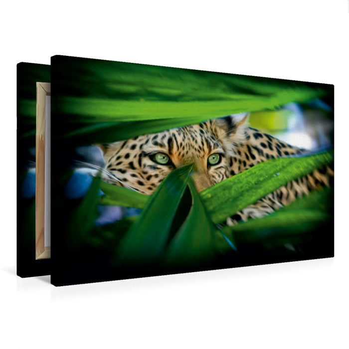 Premium Textil-Leinwand Leopard