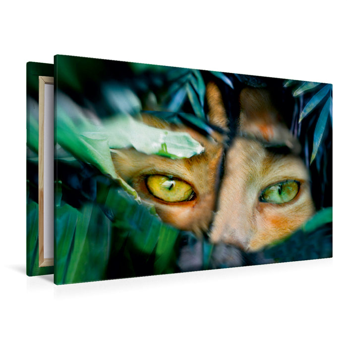 Premium Textil-Leinwand Katze