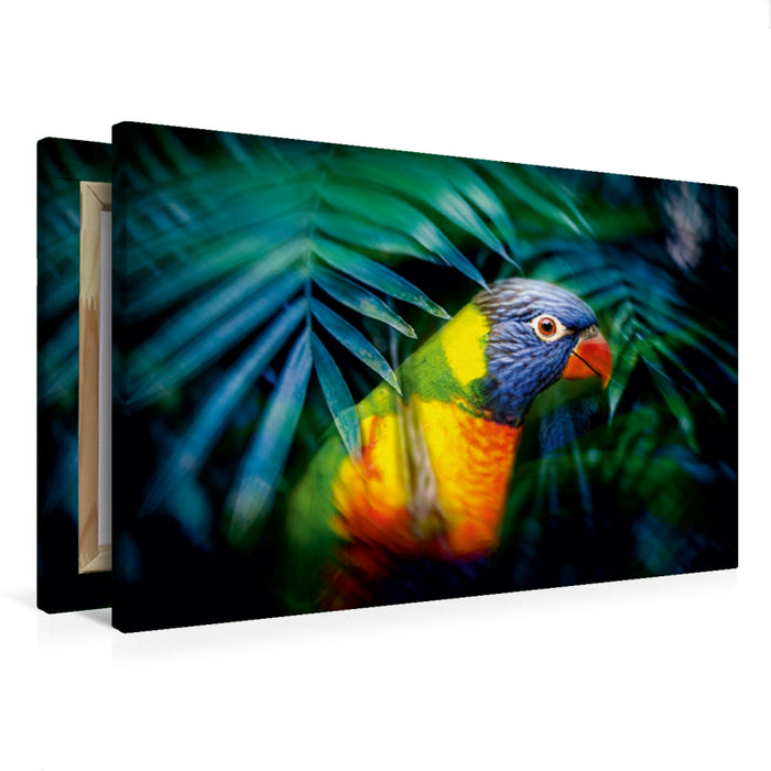 Premium Textil-Leinwand Lori