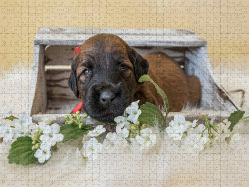 Upps - umgekippt - CALVENDO Foto-Puzzle'