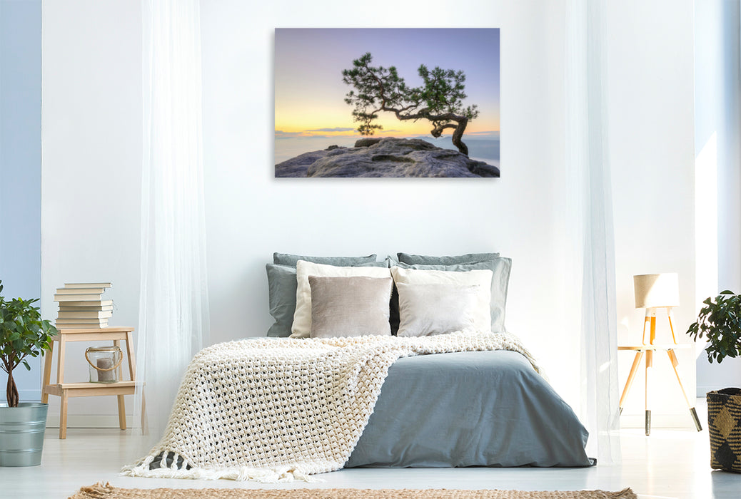 Premium textile canvas Premium textile canvas 120 cm x 80 cm landscape Pine on the Lilienstein 