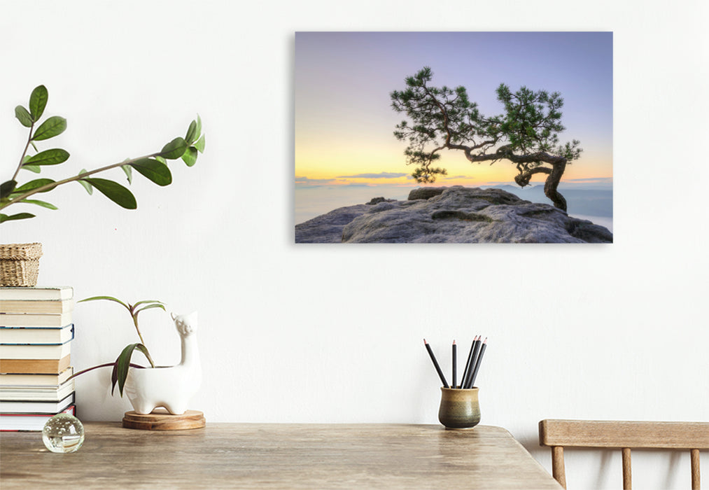 Premium textile canvas Premium textile canvas 120 cm x 80 cm landscape Pine on the Lilienstein 