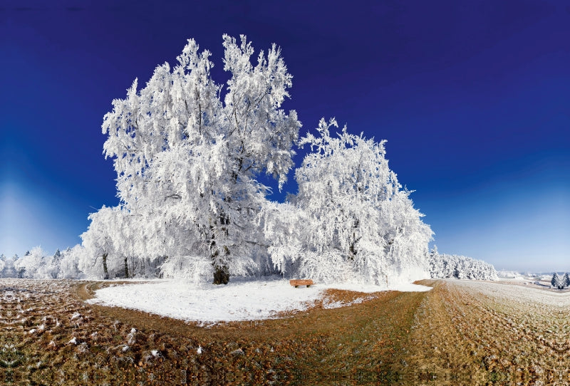 Premium Textil-Leinwand Baum im Raureif bei Pietenfeld