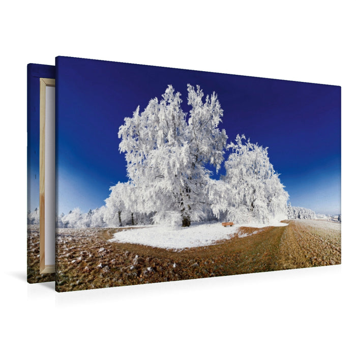 Premium Textil-Leinwand Baum im Raureif bei Pietenfeld