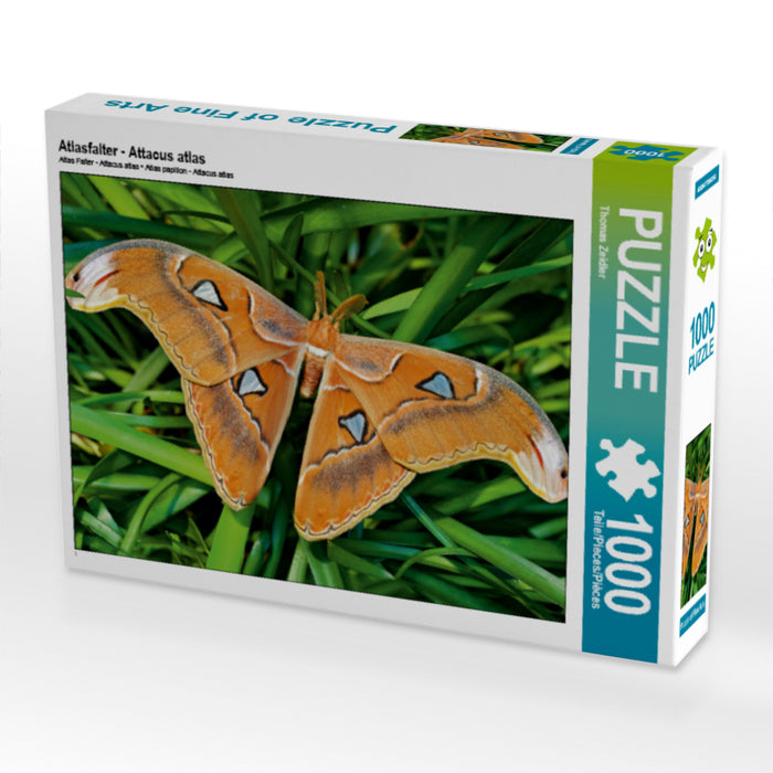 Atlasfalter - Attacus atlas 1000 Teile Puzzle quer - CALVENDO Foto-Puzzle'