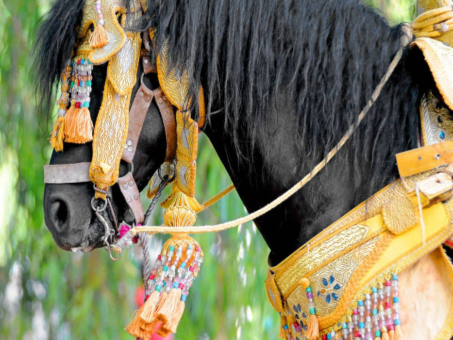 Pferd Fantasia - CALVENDO Foto-Puzzle'