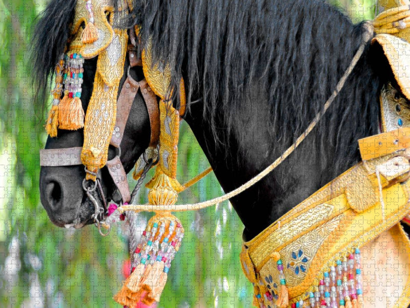Pferd Fantasia - CALVENDO Foto-Puzzle'