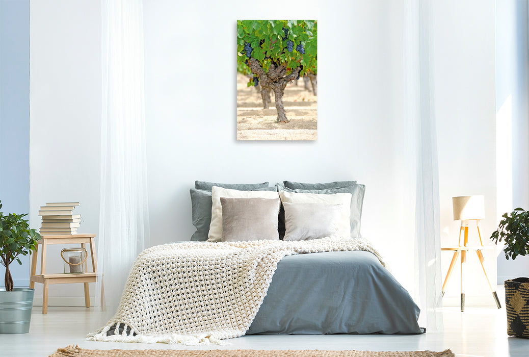 Premium Textil-Leinwand Premium Textil-Leinwand 80 cm x 120 cm  hoch Ein Bild von Trauben Erde Kalender
