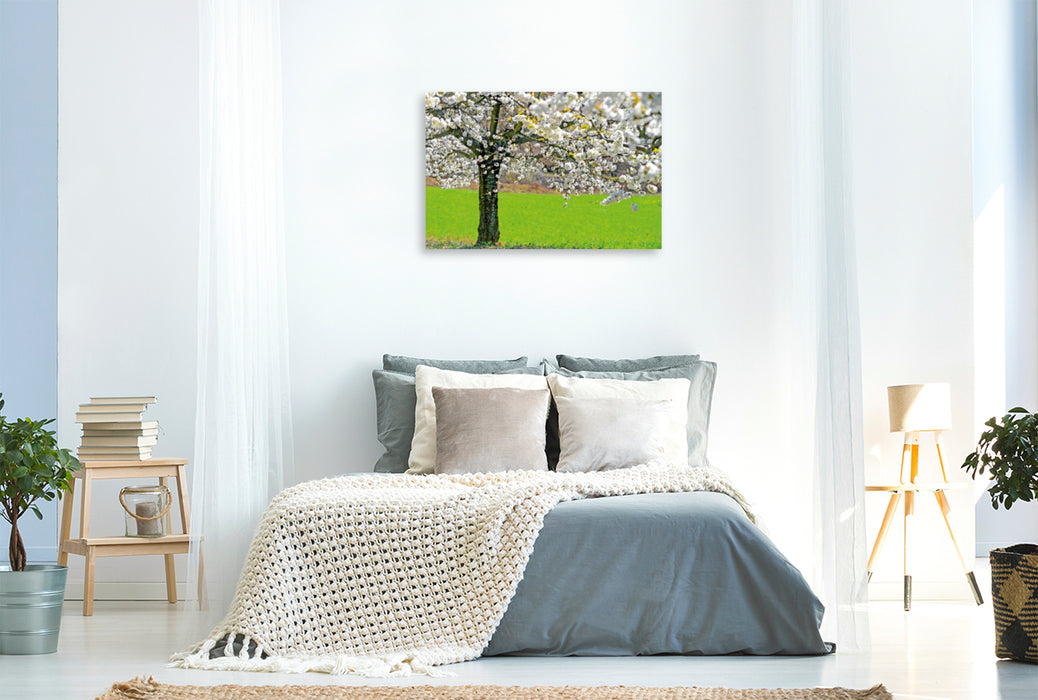 Premium Textil-Leinwand Premium Textil-Leinwand 120 cm x 80 cm quer Apfelbaum in der Blüte