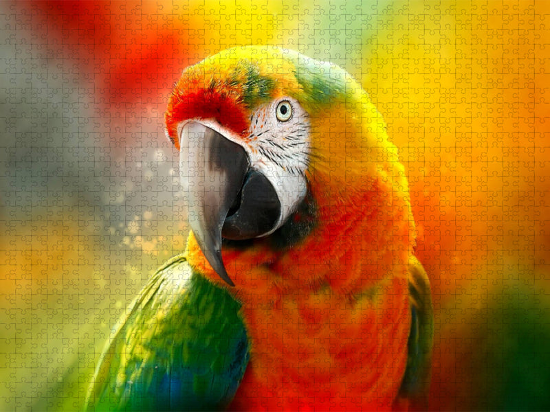Mein bunter Papagei - CALVENDO Foto-Puzzle'