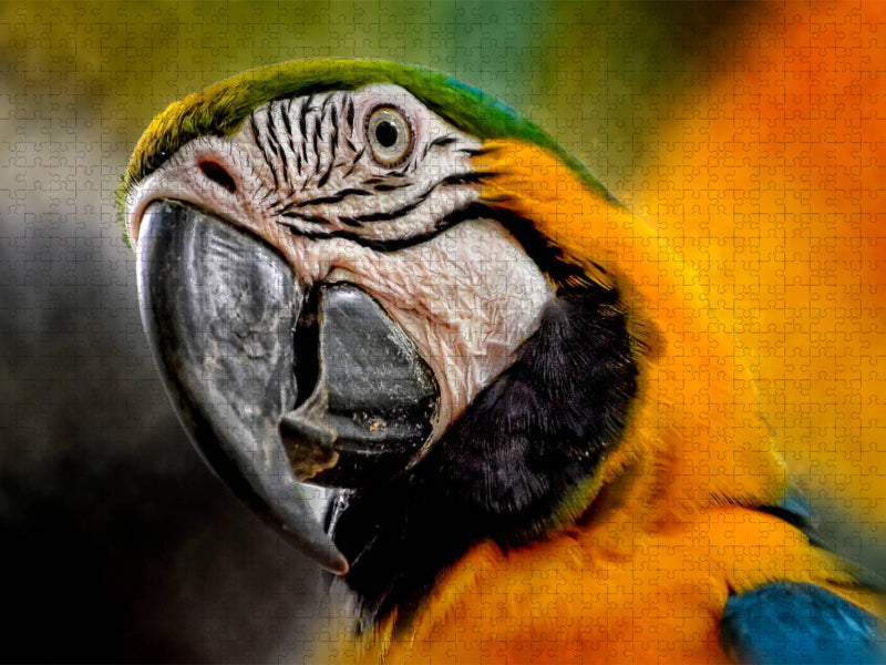Mein bunter Papagei - CALVENDO Foto-Puzzle'