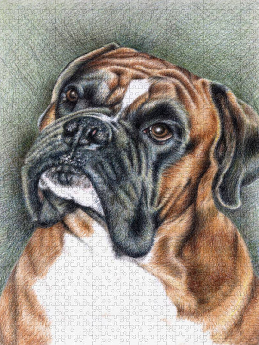Der Boxer 2000 Teile Puzzle hoch - CALVENDO Foto-Puzzle'