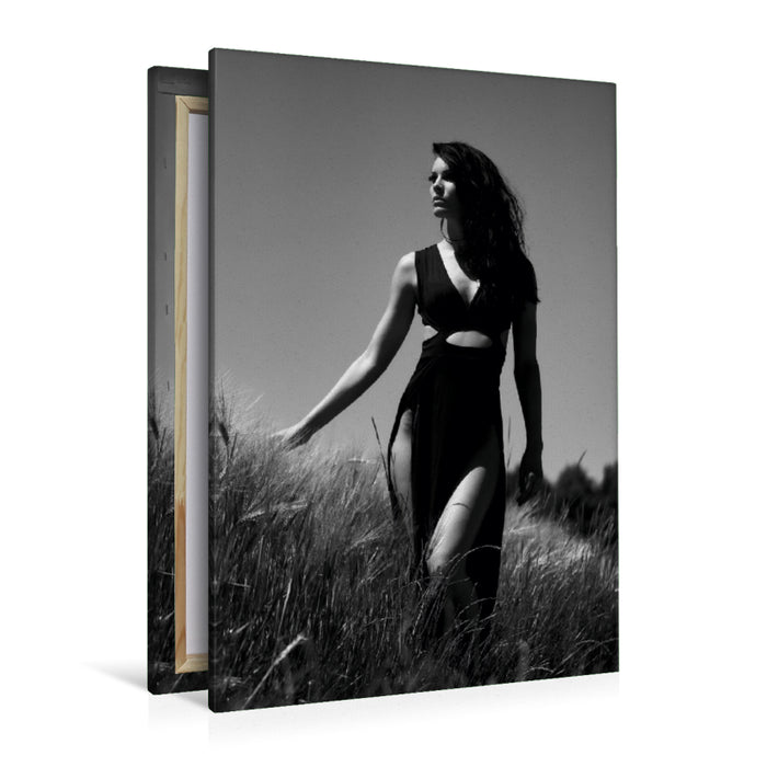 Premium Textil-Leinwand Premium Textil-Leinwand 80 cm x 120 cm  hoch Ein Motiv aus dem Kalender Christiane Schleicher Noir