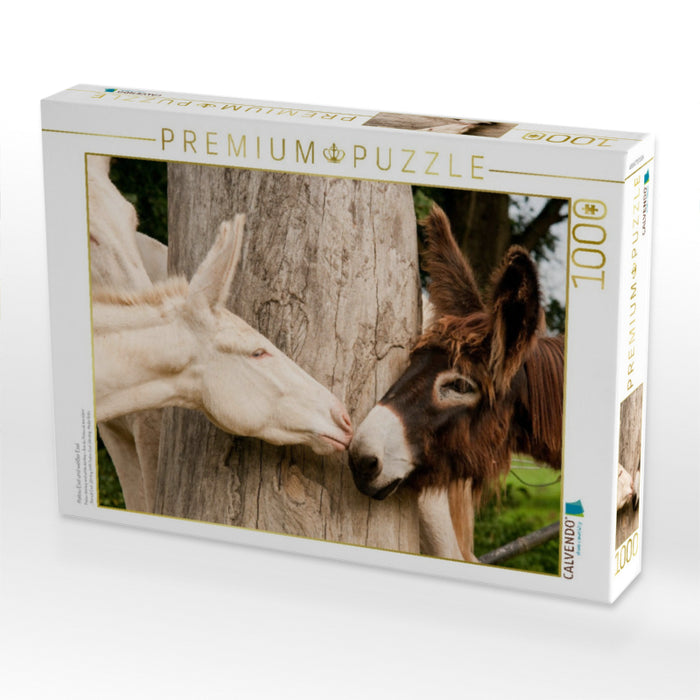 Poitou Esel und weißer Esel - CALVENDO Foto-Puzzle'