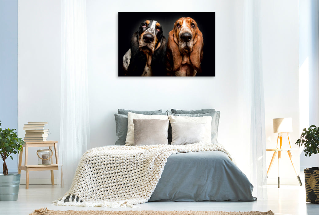 Premium Textil-Leinwand Premium Textil-Leinwand 120 cm x 80 cm quer Basset Hound Schnappschuss mit Leckerchen