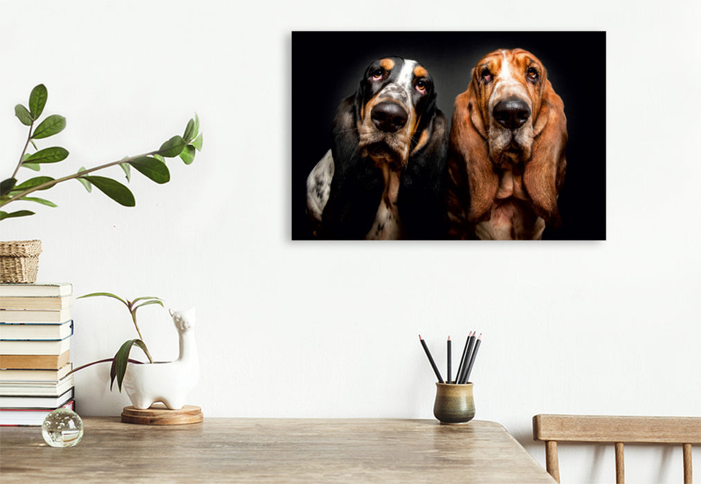 Premium Textil-Leinwand Premium Textil-Leinwand 120 cm x 80 cm quer Basset Hound Schnappschuss mit Leckerchen