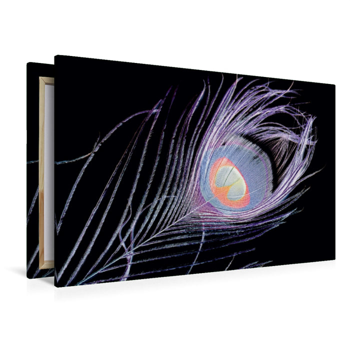 Premium Textil-Leinwand Buntes Auge