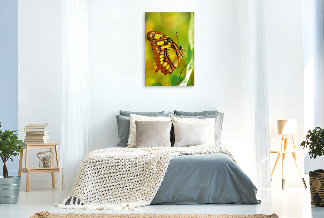 Premium Textil-Leinwand Premium Textil-Leinwand 80 cm x 120 cm  hoch Ein Bild des Moments Schmetterlingskalender