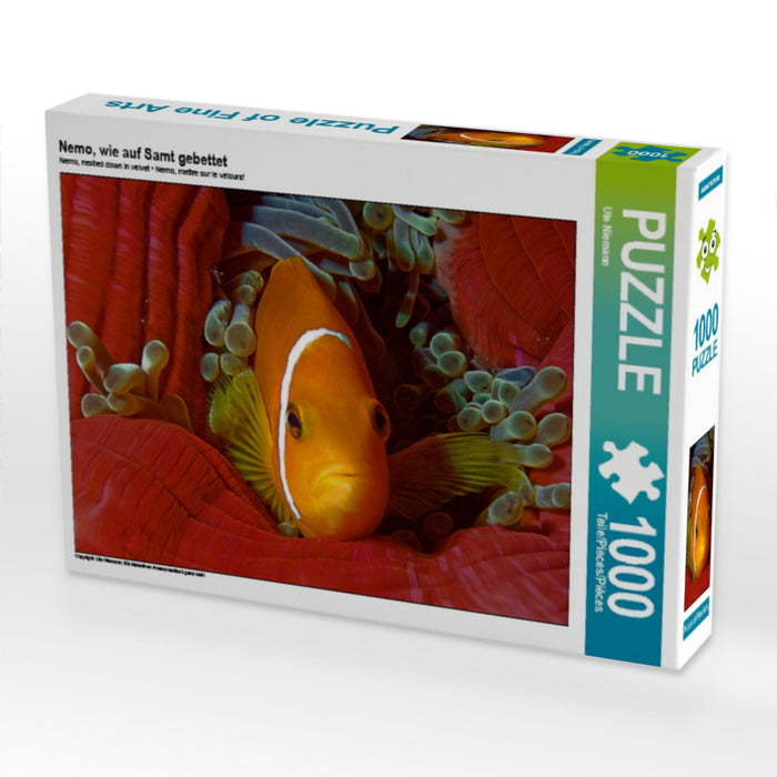 Nemo, wie auf Samt gebettet 1000 Teile Puzzle quer - CALVENDO Foto-Puzzle'