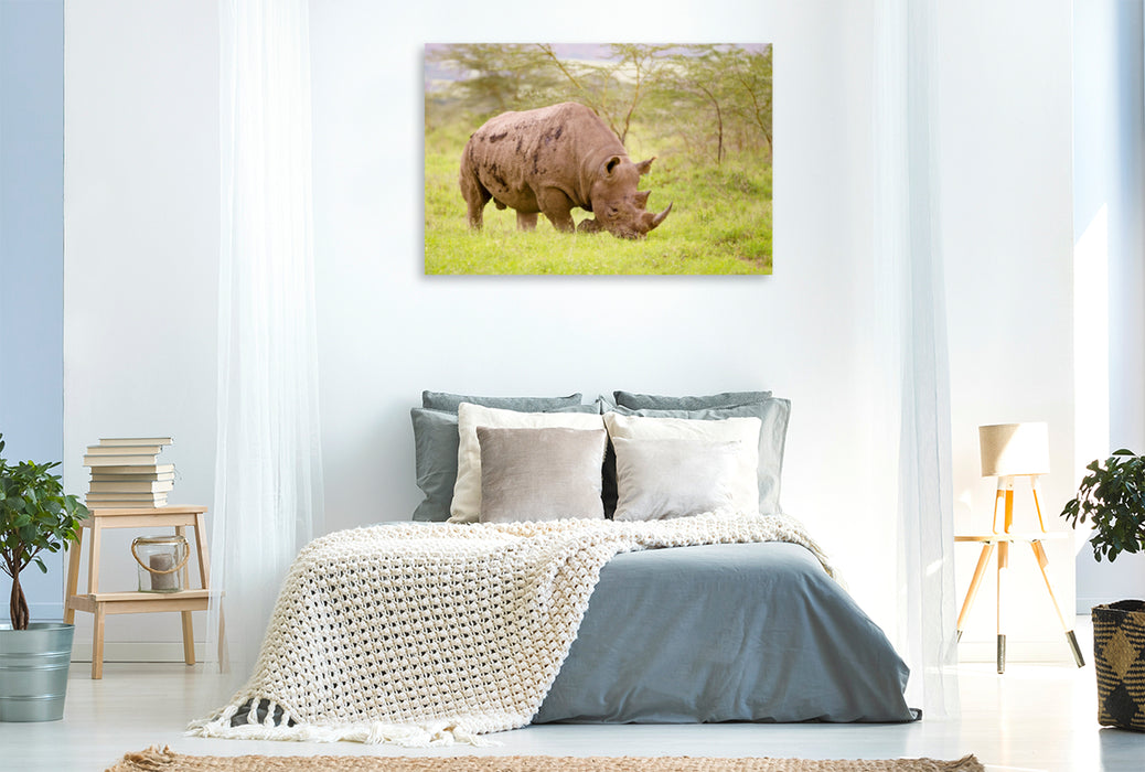 Toile textile premium Toile textile premium 120 cm x 80 cm paysage rhinocéros noir 