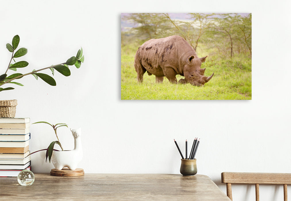 Toile textile premium Toile textile premium 120 cm x 80 cm paysage rhinocéros noir 
